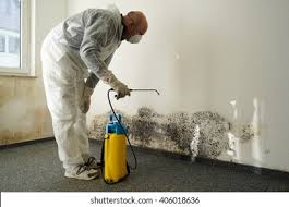 Best Asbestos and Lead Testing During Mold Inspection  in Greenwood Village, CO